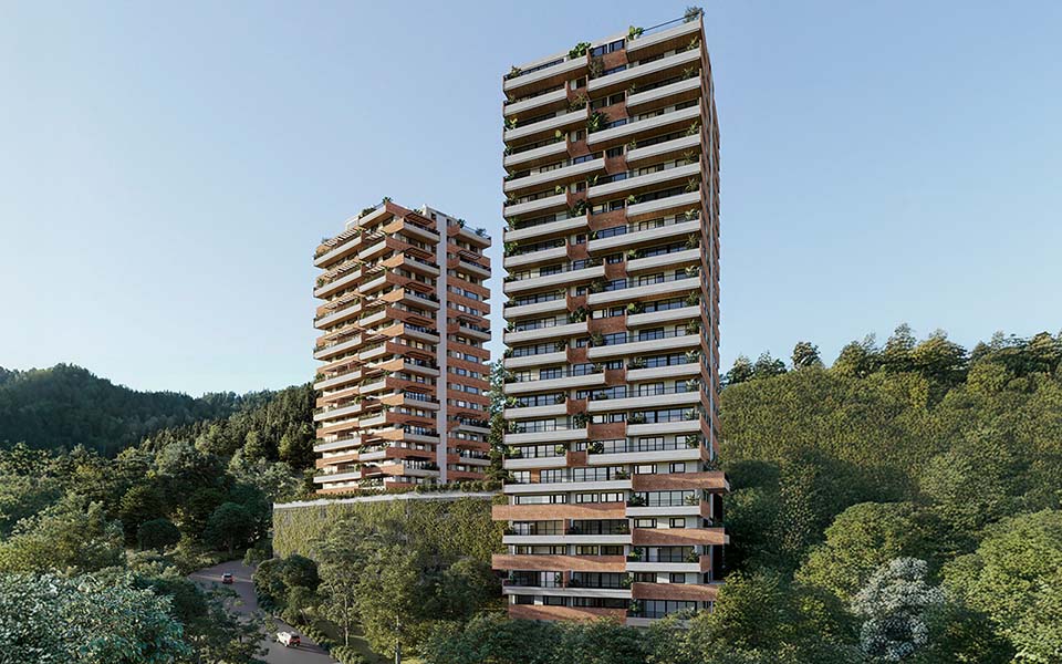 Contree las Palmas